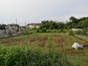 0913 畑草刈 2