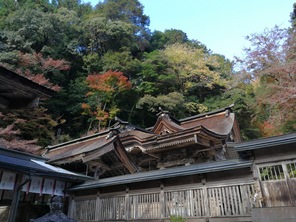 大矢田神社 4