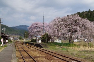大矢駅（長良川鉄道）6