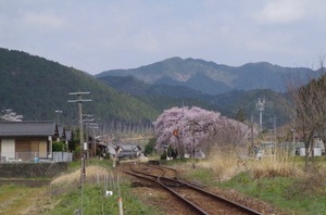大矢駅（長良川鉄道）9