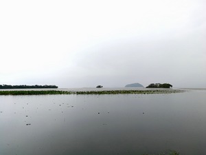 琵琶湖 1