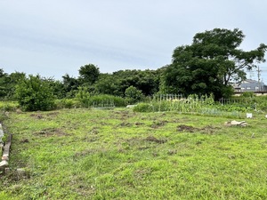 畑草刈 1