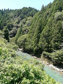 神崎川 1