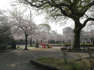 美江寺公園 1
