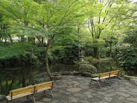 静かな岐阜公園 1